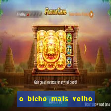 o bicho mais velho da loteria dos sonhos